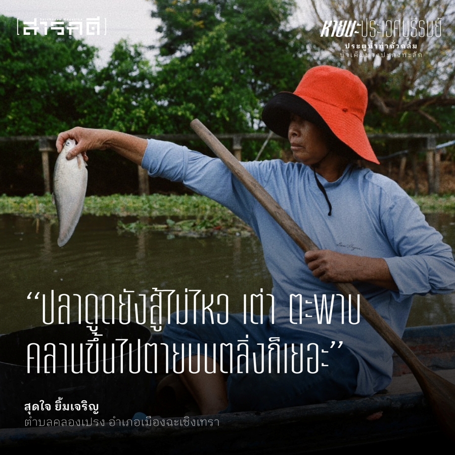 หายนะประเวศบุรีรมย์ ประตูน้ำท่าถั่วถล่ม น้ำเค็มบางปะกงทะลัก 11 pravejburiram09 3