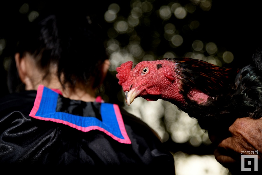 Special Scene พิธีผู่-โอบกอดผู้หญิงม้งเมื่อชีวิตคู่ล้มเหลว 3 pu ceremony04