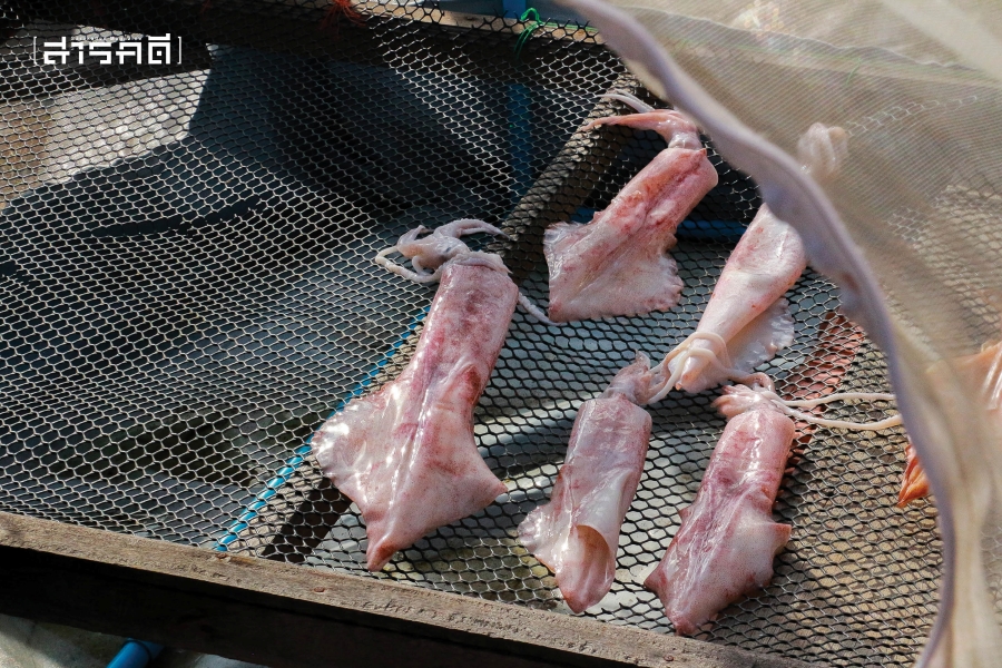ปูลาโต๊ะบีซู ชุมชนสู้ชีวิตกลางแม่น้ำตากใบ 12 pulatobisu12