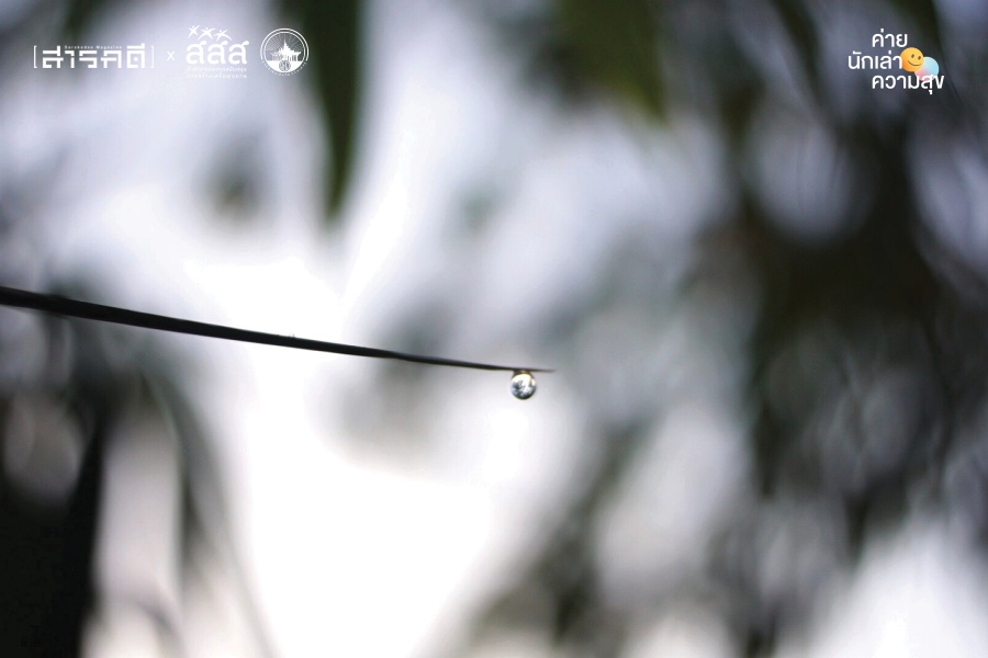 เมื่อเม็ดฝนเต้นระบำ ทำให้รู้ว่าฉันกลัวฝนตอนโต 6 raining07
