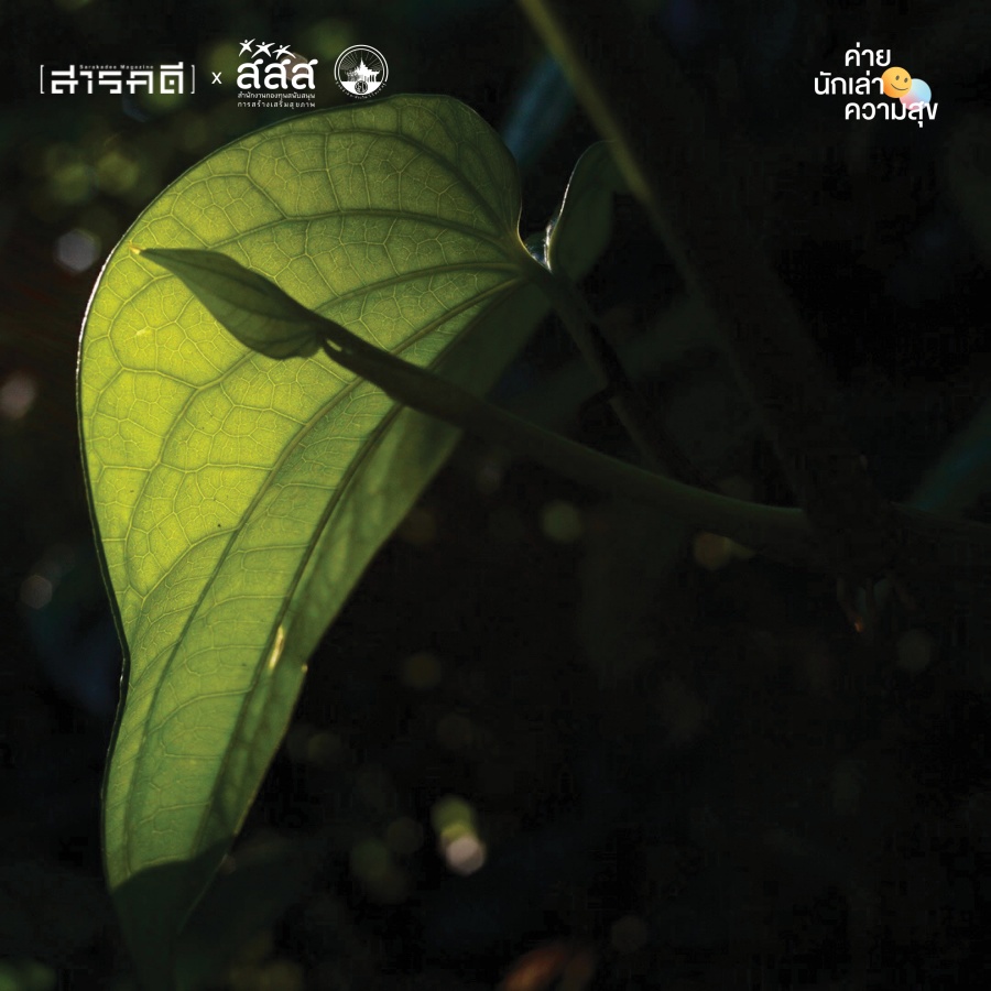 เมื่อเม็ดฝนเต้นระบำ ทำให้รู้ว่าฉันกลัวฝนตอนโต 7 raining08