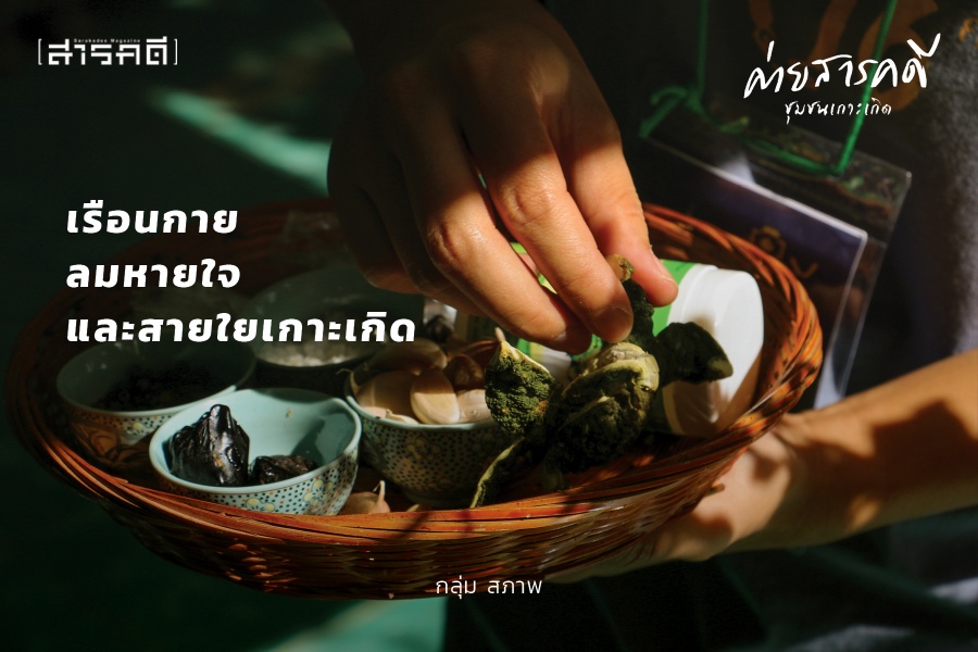 ยาลูกกลอนสมุนไพร : เรือนกาย ลมหายใจ และสายใยเกาะเกิด ยาลูกกลอนสมุนไพร : เรือนกาย ลมหายใจ และสายใยเกาะเกิด