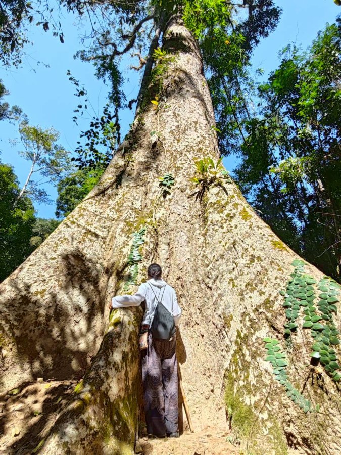 อาบ(วัด)ป่า — ไทรโยคบทเรียนที่ไม่อาจหาในห้องเรียน 10 saiyok10