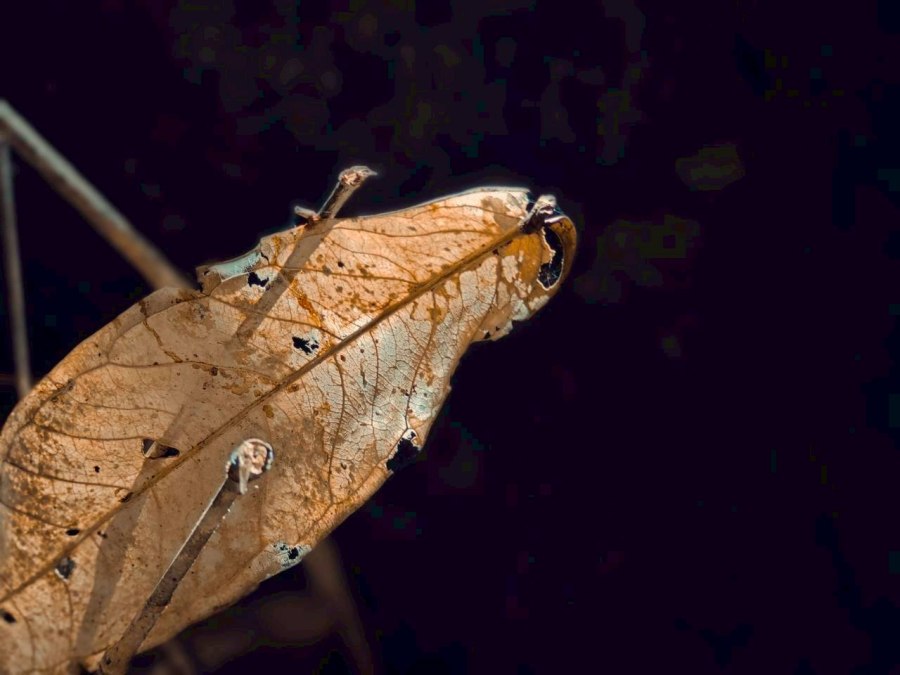 อาบ(วัด)ป่า — ไทรโยคบทเรียนที่ไม่อาจหาในห้องเรียน 11 saiyok11