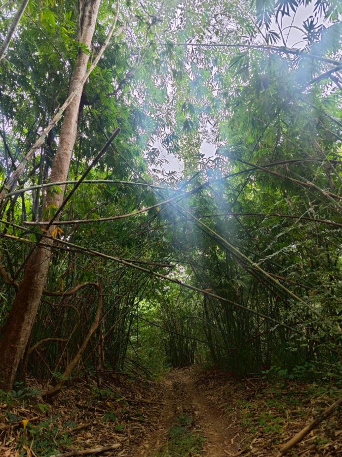 อาบ(วัด)ป่า — ไทรโยคบทเรียนที่ไม่อาจหาในห้องเรียน 15 saiyok15