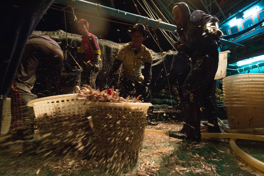 “อยากช่วยทะเล ต้องเลิกกินปลา” จริงหรือลวง กับสารคดี Seaspiracy ? 1 seaspiracy01 1