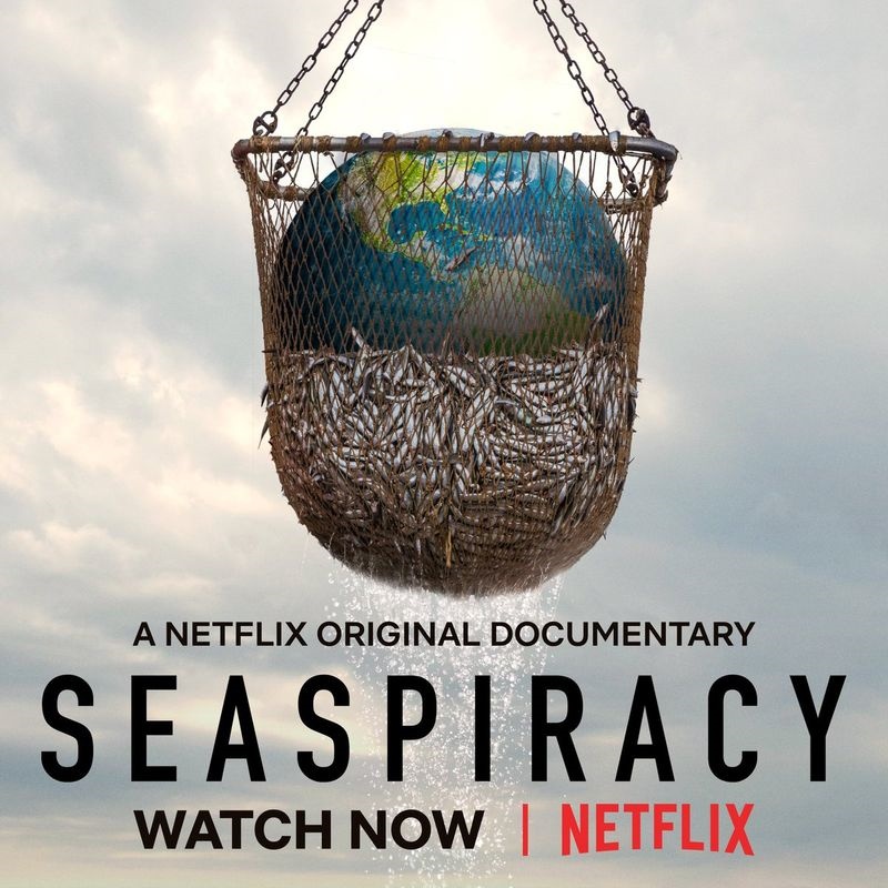 อยากช่วยทะเล ต้องเลิกกินปลา จริงหรือลวงกับสารคดี Seaspiracy ?