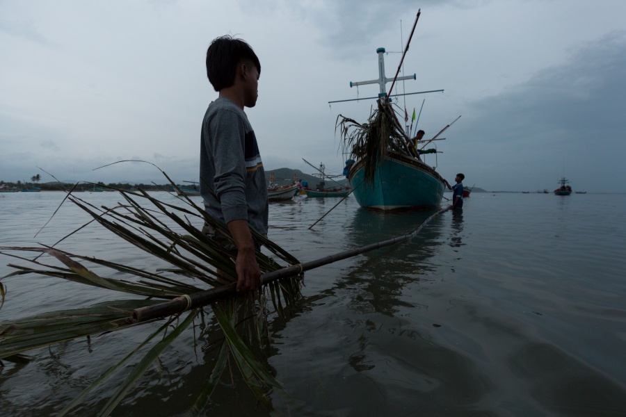 “อยากช่วยทะเล ต้องเลิกกินปลา” จริงหรือลวง กับสารคดี Seaspiracy ? 4 seaspiracy02 2