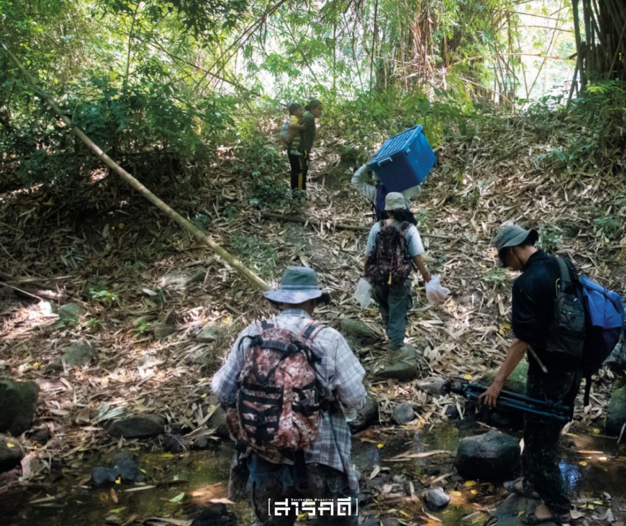 ชุมชน - จากบรรณาธิการ ฉบับที่ 434 1 smartcommunity01