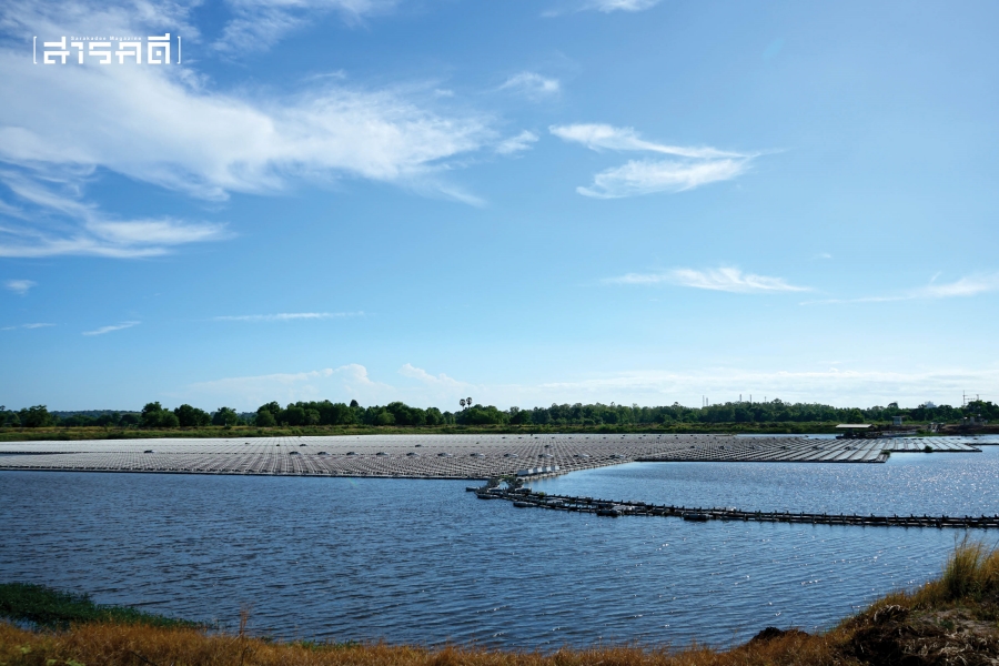 Floating Solar ฟาร์มไฟฟ้ามาเหนือน้ำ 1 Floating Solar