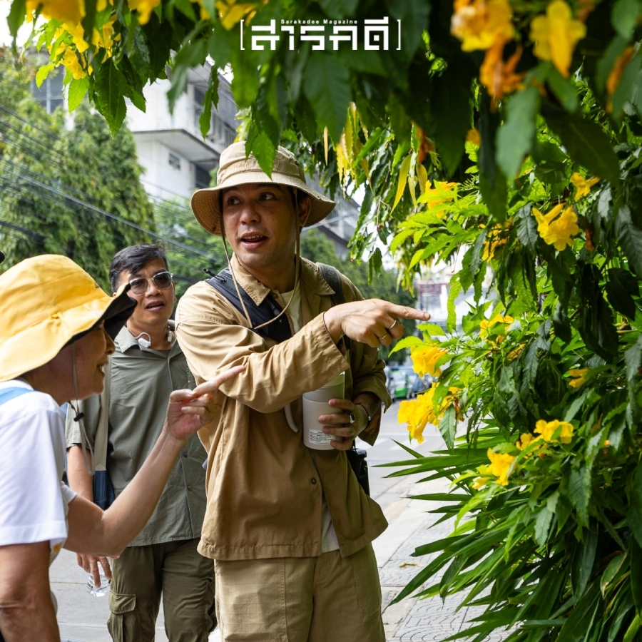 กระรอกน้อยเชื่อมสัมพันธ์ในสวน - 17 พฤศจิกายน 2567 1 squirrel01 1