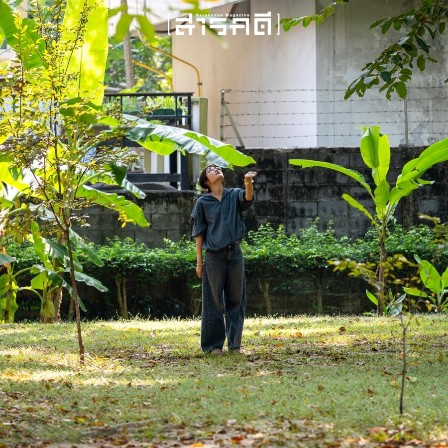 กระรอกน้อยเชื่อมสัมพันธ์ในสวน - 17 พฤศจิกายน 2567 2 squirrel03