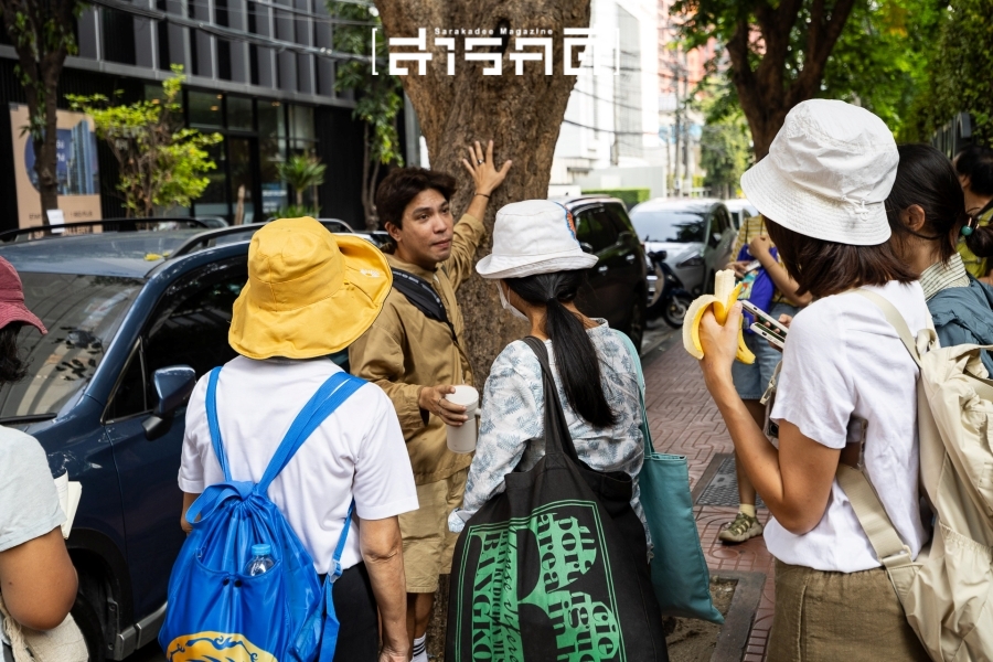 กระรอกน้อยเชื่อมสัมพันธ์ในสวน - 17 พฤศจิกายน 2567 3 squirrel04