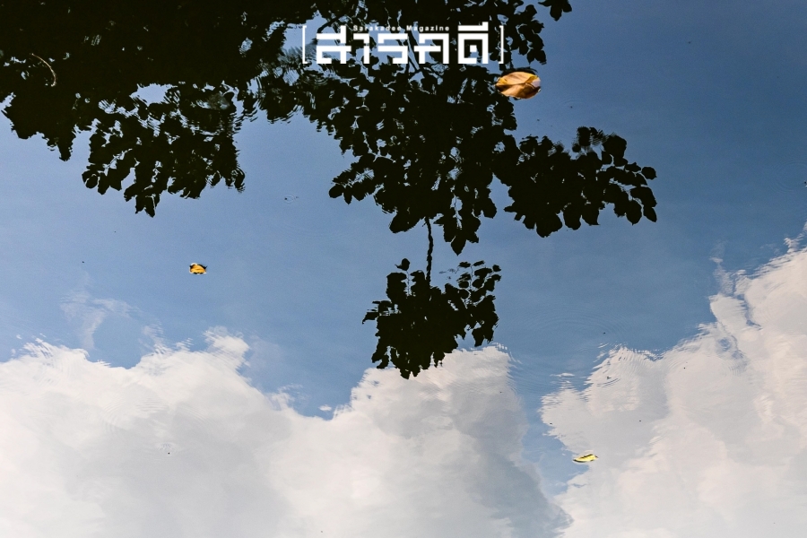 กระรอกน้อยเชื่อมสัมพันธ์ในสวน - 17 พฤศจิกายน 2567 20 squirrel21