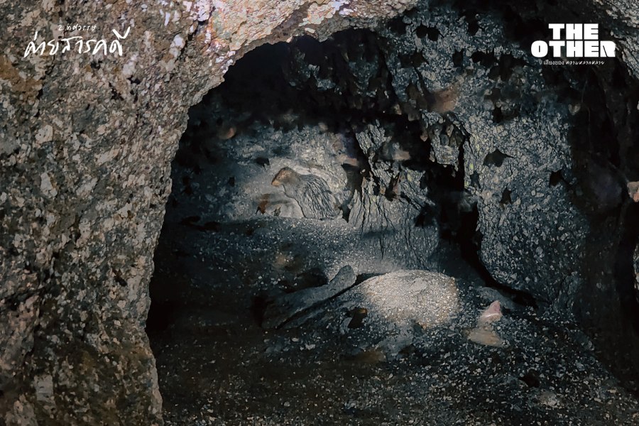 อุโมงค์ต้าสวุ่ยต้อ : เสียงนักรบใต้คอนกรีต 11 tasuitor11