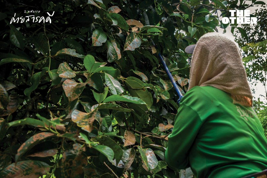 อุโมงค์ต้าสวุ่ยต้อ : เสียงนักรบใต้คอนกรีต 13 tasuitor13