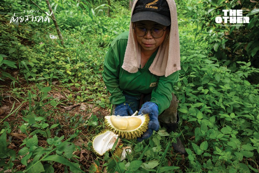 อุโมงค์ต้าสวุ่ยต้อ : เสียงนักรบใต้คอนกรีต 14 tasuitor14