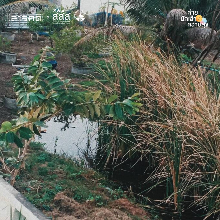 ห้องข้างหลังนั่งระเบียง 5 terrace04