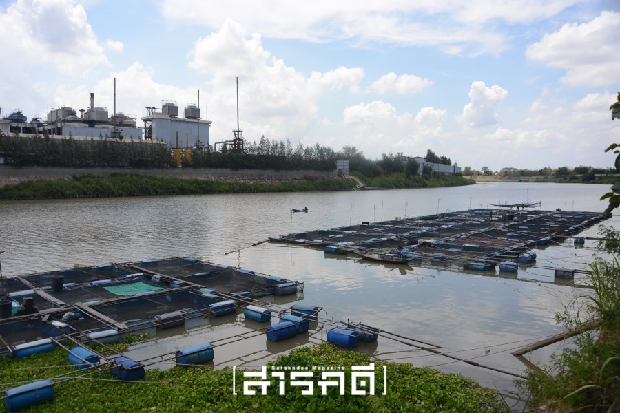 ไทยเรยอน คดีสิ่งแวดล้อมแรกของปี 2568 6 ไทยเรยอน คดีสิ่งแวดล้อมแรกของปี 2568