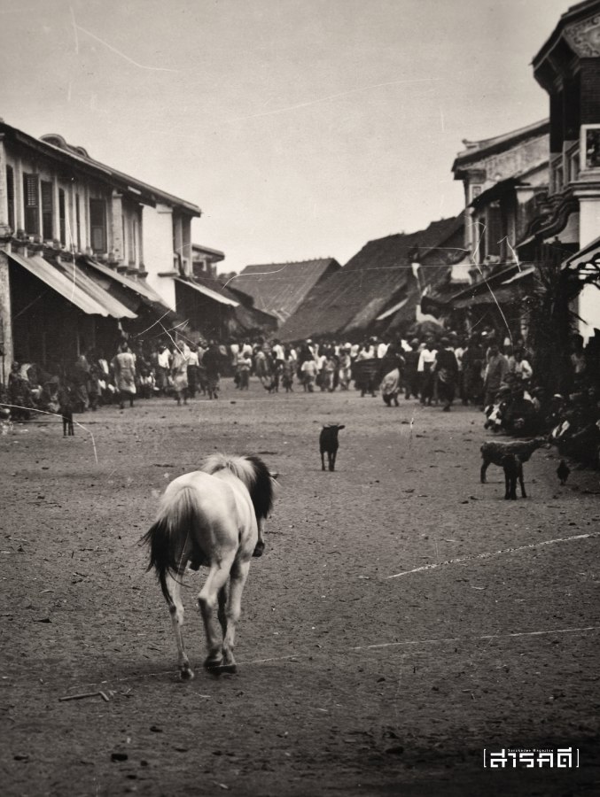 timtang27