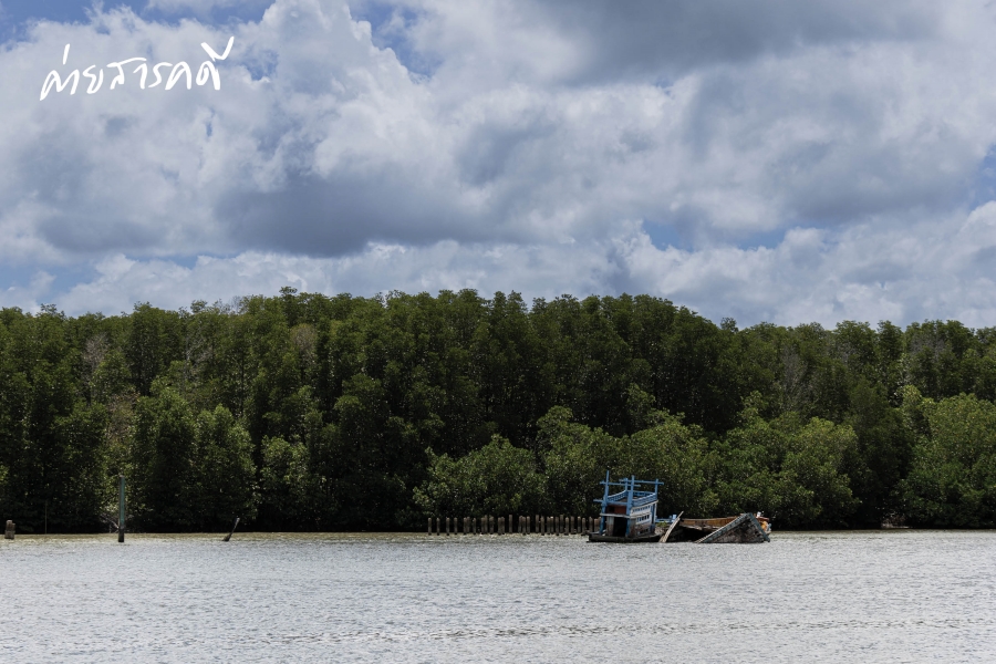 สืบศิลป์ส่งฝัน เก็บรักษ์ช่างต่อเรือ 8 torrua08