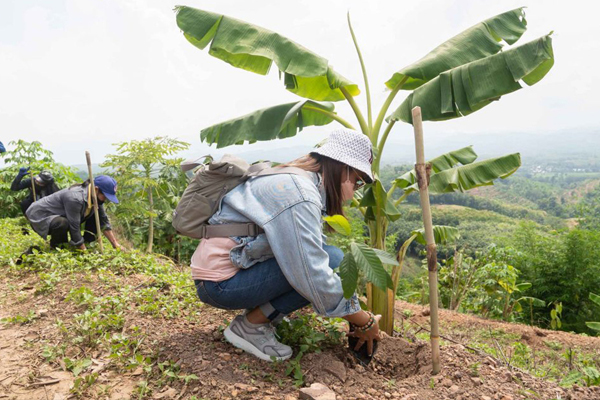 Trees4All จากคนเมืองถึงเกษตรกร ระบบติดตามผลอุปถัมภ์ต้นไม้