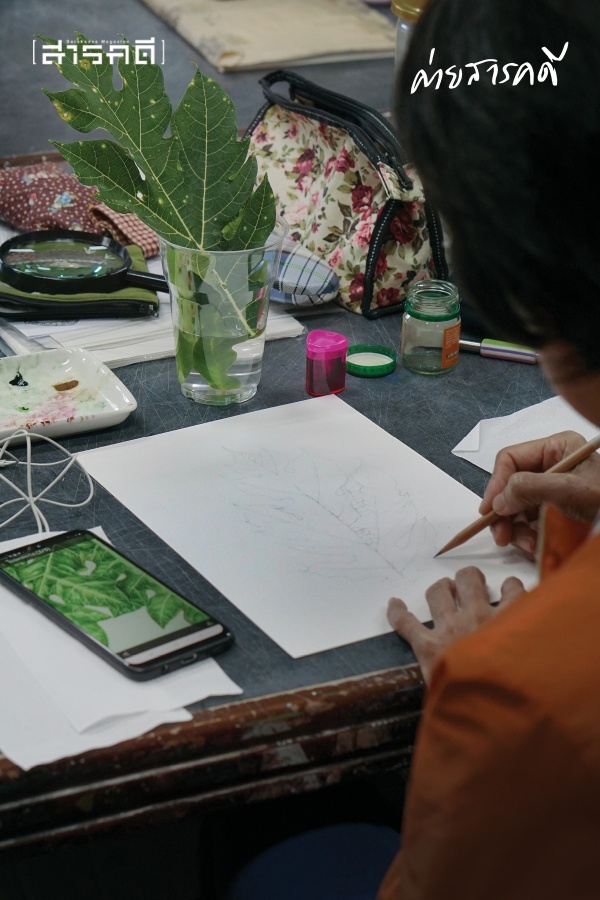 ครอบครัวต้นไม้ จากปลายพู่กันและมันสมองของ “นักวาดภาพประกอบ” และ “นักพฤกษศาสตร์” 2 treefamily02