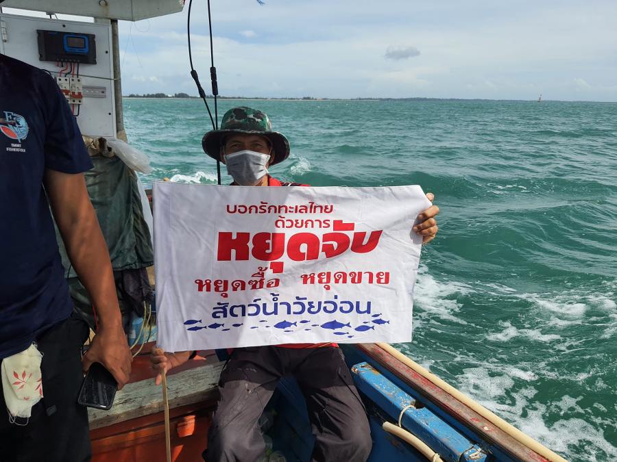 รณรงค์ไม่จับตัวอ่อนสัตว์ทะเล ทวงคืนน้ำพริกปลาทู 5 tuaorn04
