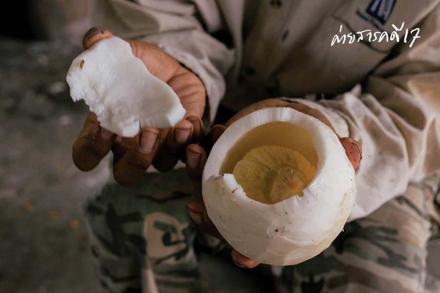 กลับบ้าน (ทับสะแก) เรา รักรออยู่ : จากพื้นที่ตกสำรวจสู่ชุมชนการเกษตรยั่งยืน 6 tubsakae06