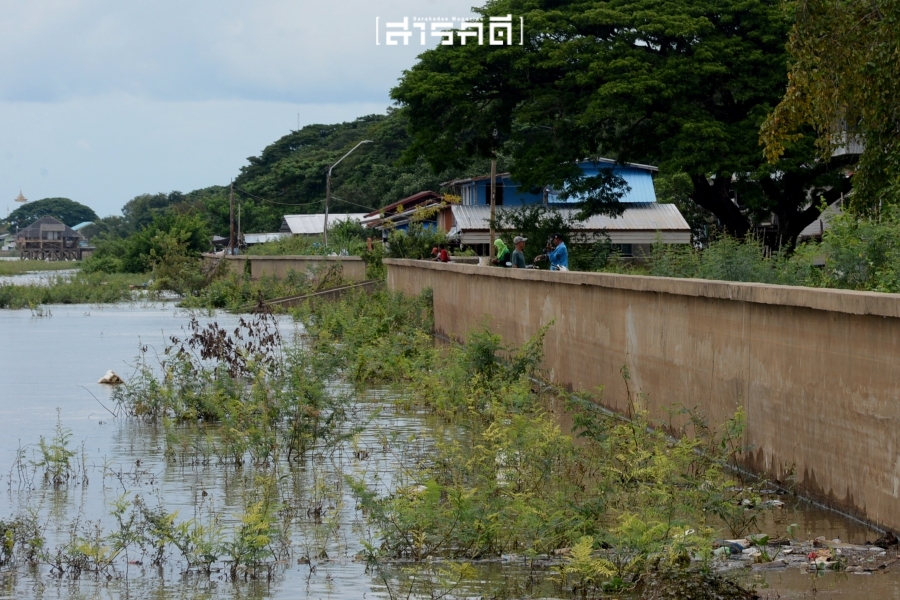 น้ำท่วมอุบลฯ แม่น้ำ (มูล) ผู้คน เขื่อน 10 ubonflood09