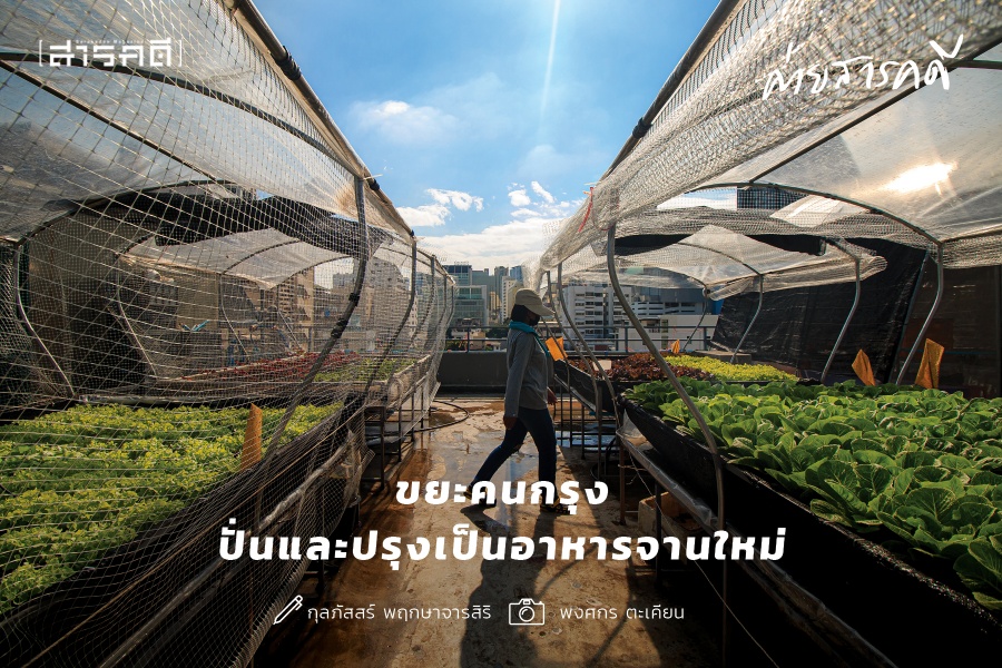 Wastegetable - ขยะคนกรุง ปั่นและปรุงเป็นอาหารจานใหม่ Wastegetable - ขยะคนกรุง ปั่นและปรุงเป็นอาหารจานใหม่