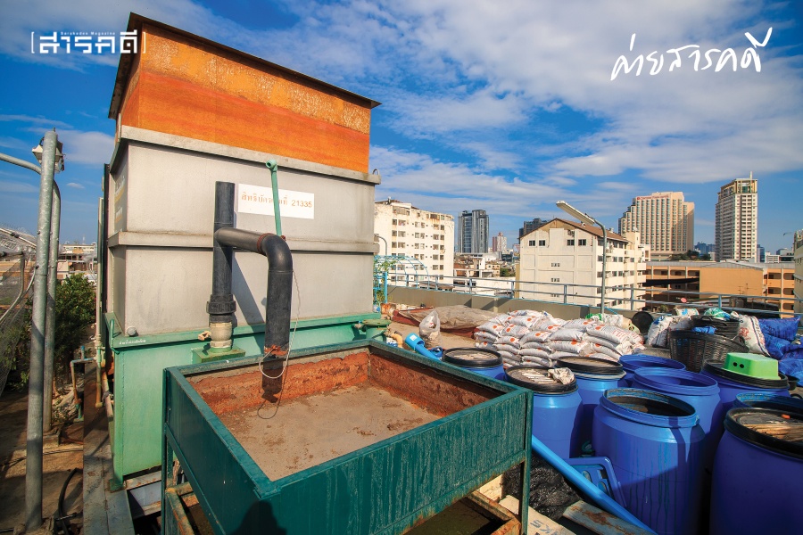 ขยะคนกรุง ปั่นและปรุงเป็นอาหารจานใหม่ 5 wastegetable06