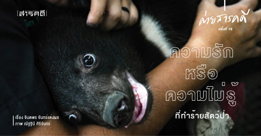 ความรักหรือความไม่รู้ที่ทำร้ายสัตว์ป่า ความรักหรือความไม่รู้ที่ทำร้ายสัตว์ป่า