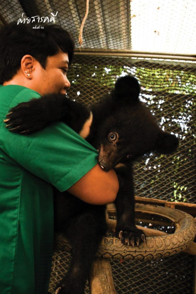 ความรักหรือความไม่รู้ที่ทำร้ายสัตว์ป่า 1 wildanimal03