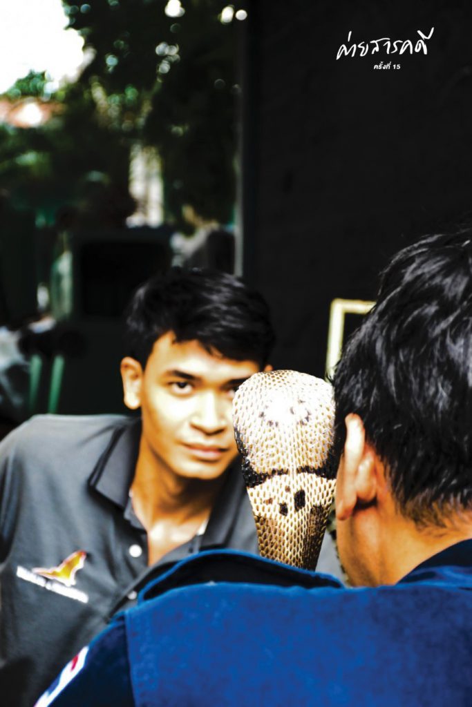 ความรักหรือความไม่รู้ที่ทำร้ายสัตว์ป่า 8 wildanimal08